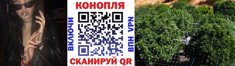 Где купить наркотики Малоархангельск ссылка на мегу рабочий сайт  Псилоцибиновые грибы  Меф мяу мяу  КОКАИН  Марихуана 